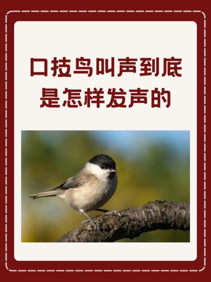 小米手机鸟叫声提示音图标