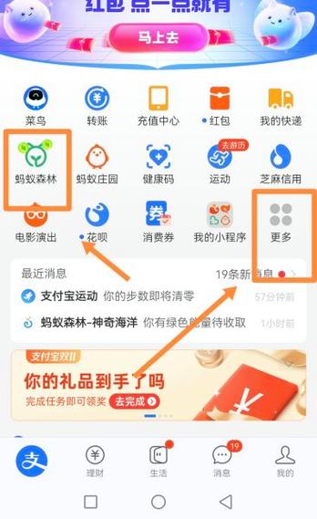 支付宝能量收取记录能删除吗缩略图