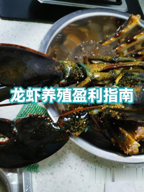养小龙虾一亩多少利润缩略图