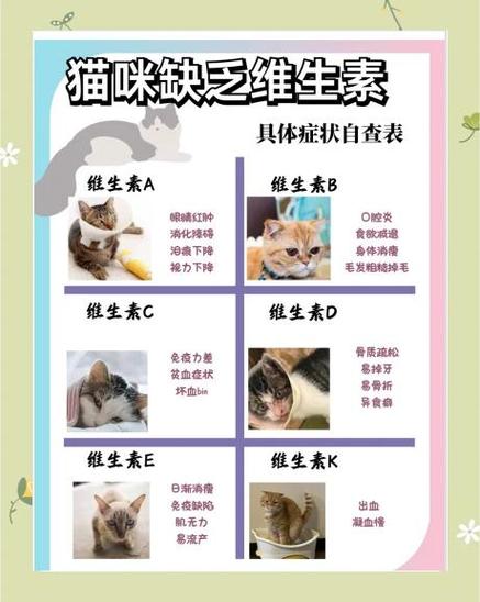 猫咪突然不活泼了缩略图