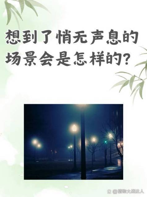 苹果手机打电话录屏没有声音的原因图标