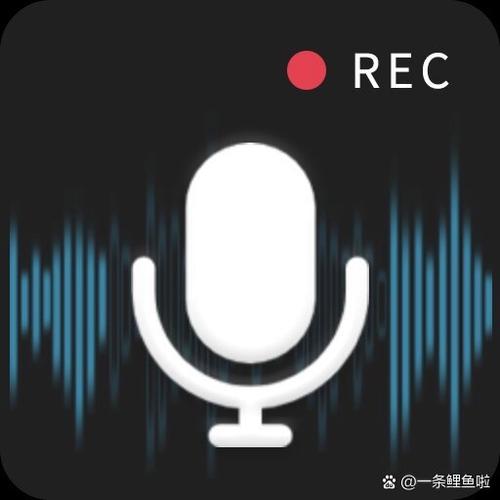 支付宝朋友转账提示音怎么设置