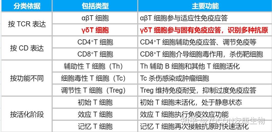 T细胞具有的功能游戏截图