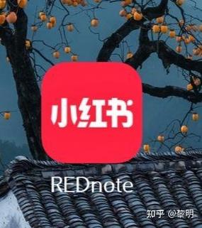 一个手机号可以绑几个小红书号