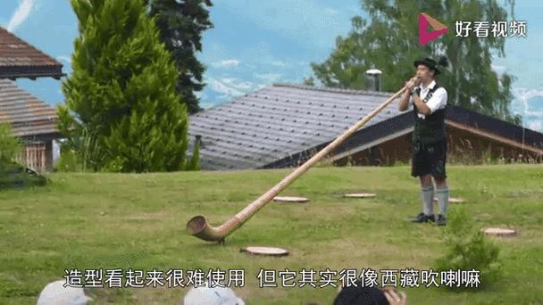 世界上最奇葩的4件事图标