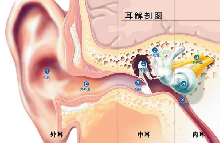 男生会随便让女生掏耳朵吗图标