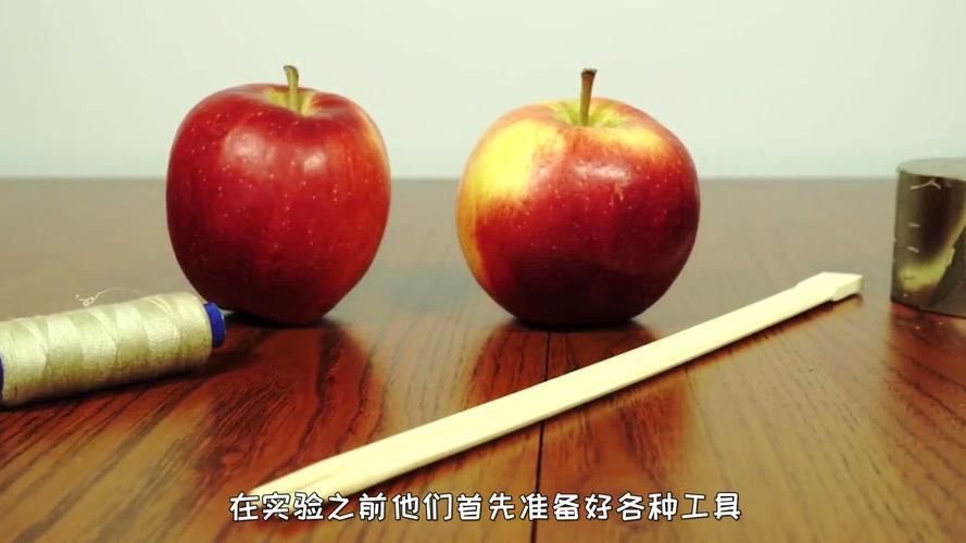 磁铁跟苹果放在一起有影响吗游戏截图