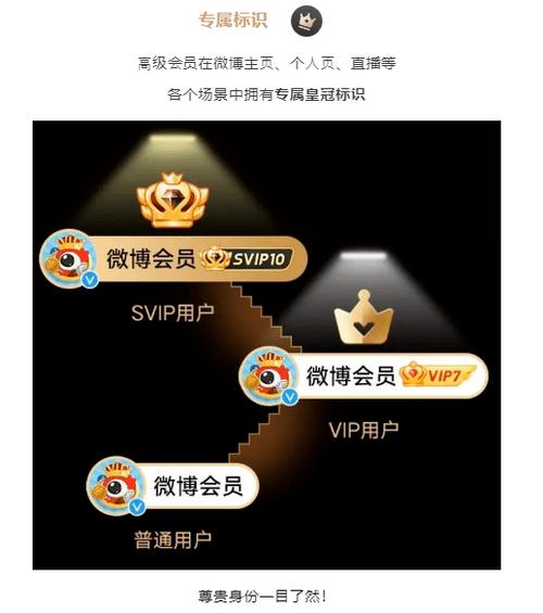 微博svip能看到隐身访问吗