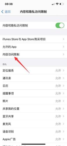 苹果没有访问限制功能是什么原因缩略图