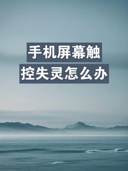 屏幕某个区域触摸不灵缩略图
