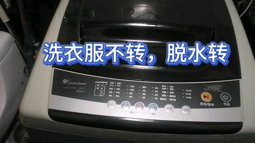 小天鹅不转只嗡嗡的怎么回事