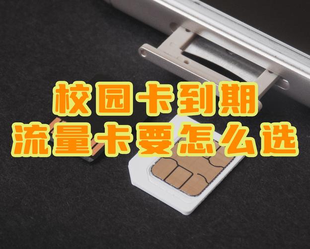 校园卡离开学校流量怎么办游戏截图