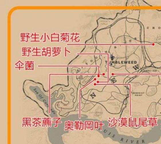 荒野大镖客2草药大师任务完成图文攻略图标