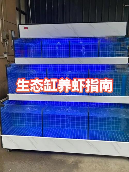 鱼缸养虾需要什么条件和技术游戏截图