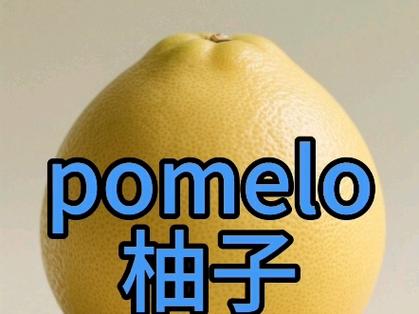 柚子有关的英文人名缩略图
