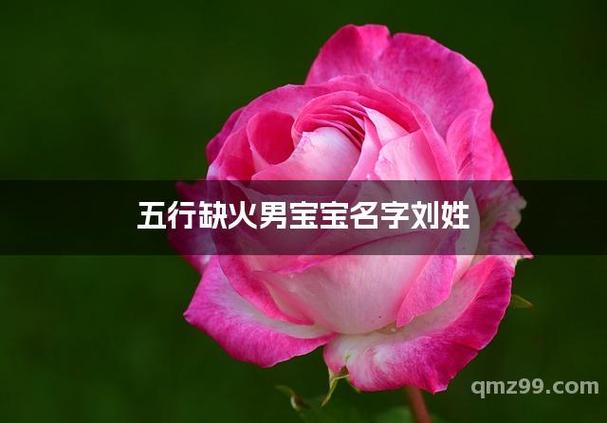 五行缺火最旺男孩名字图标