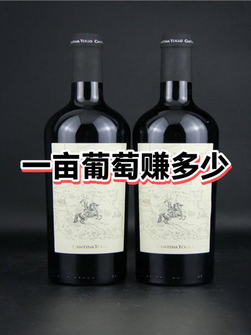 一亩葡萄一年能赚多少钱缩略图