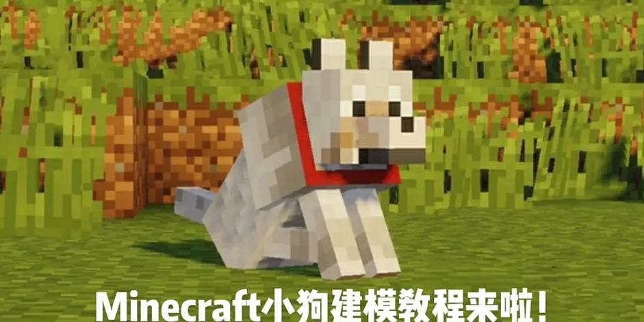 我的世界怎么把狗拴住