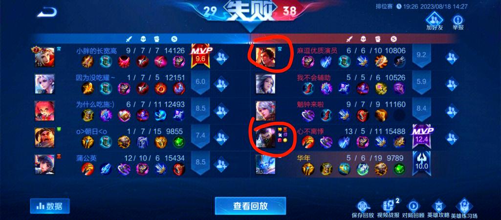 王者荣耀战绩不显示双排缩略图