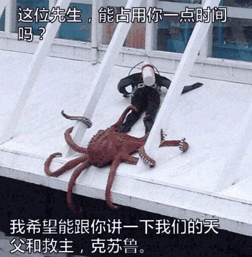 章鱼输入法微信不显示表情缩略图
