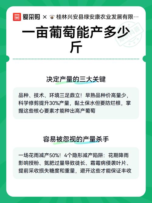 葡萄一亩地能产多少斤图标
