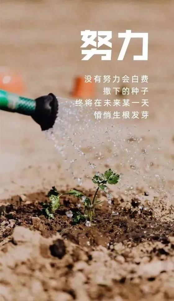 正能量句子励志短句子缩略图