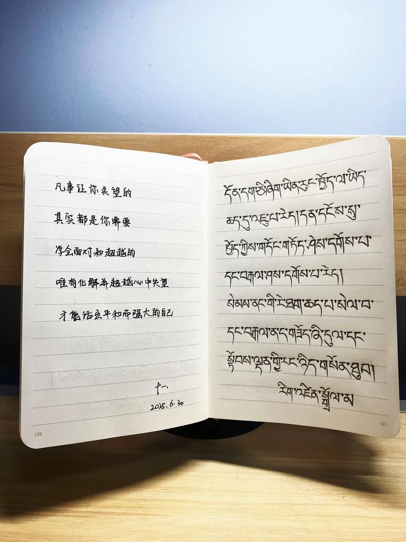 藏文作业一拍秒出答案