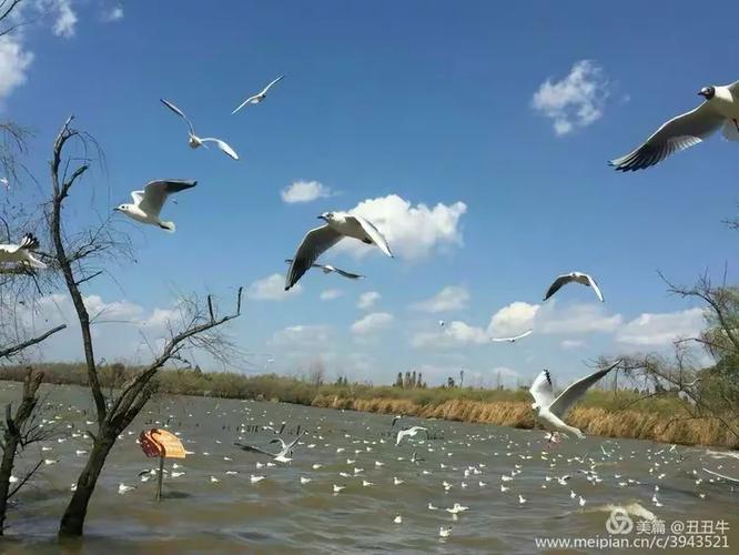 麟麟七建造水上军基地