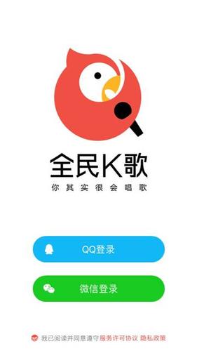 全民k歌好还是全民k歌极速版好图标
