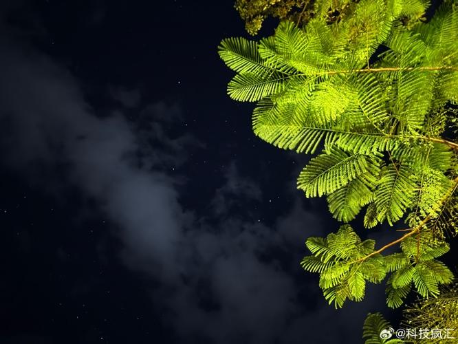 vivo手机拍星星的注意事项缩略图