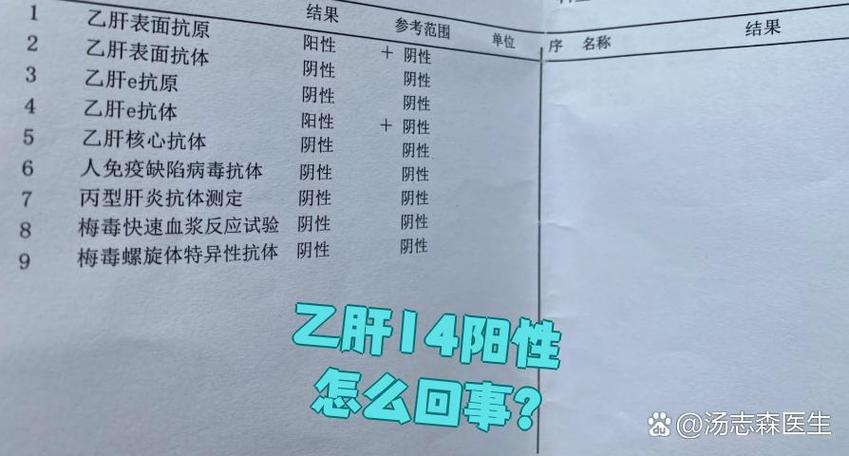 乙肝表面抗体阳性和乙肝E抗体阳性