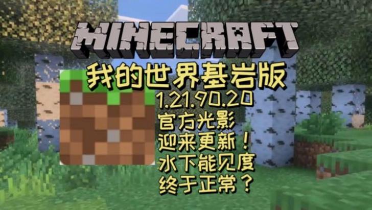 手机版我的世界基岩版真实光影下载缩略图