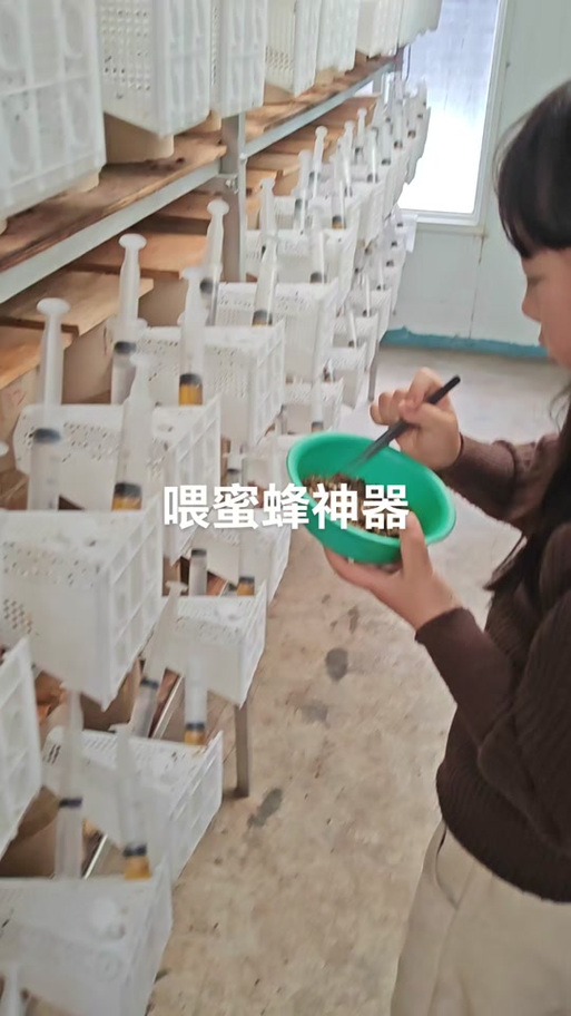 蜜蜂自动饲喂器视频图标
