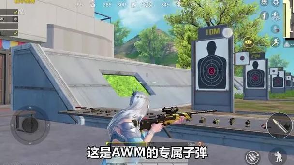 和平精英弓弩卡子弹缩略图