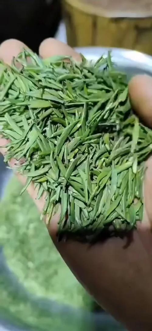 竹叶青泡水喝的功效与作用