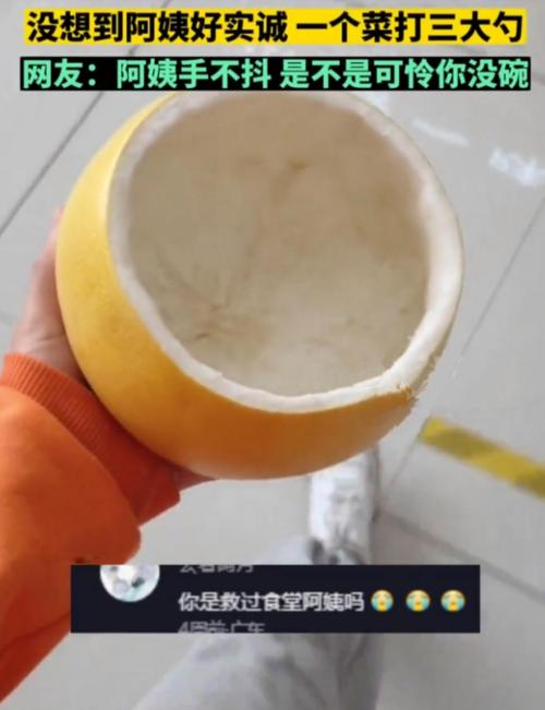 柚子碗阅读答案缩略图