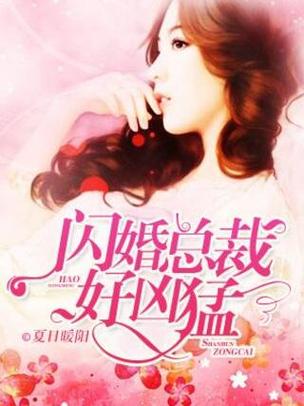 闪婚总裁太凶猛 小说图标