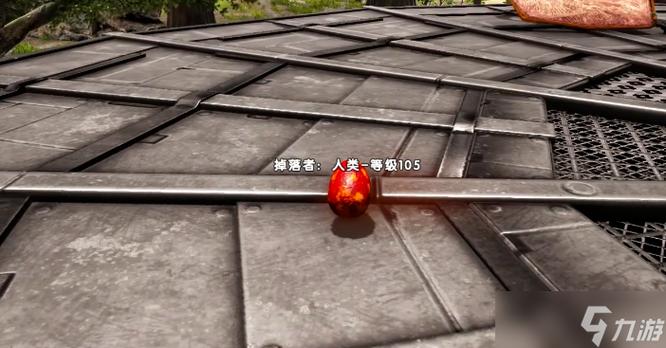 方舟在野外捡的蛋怎么孵化