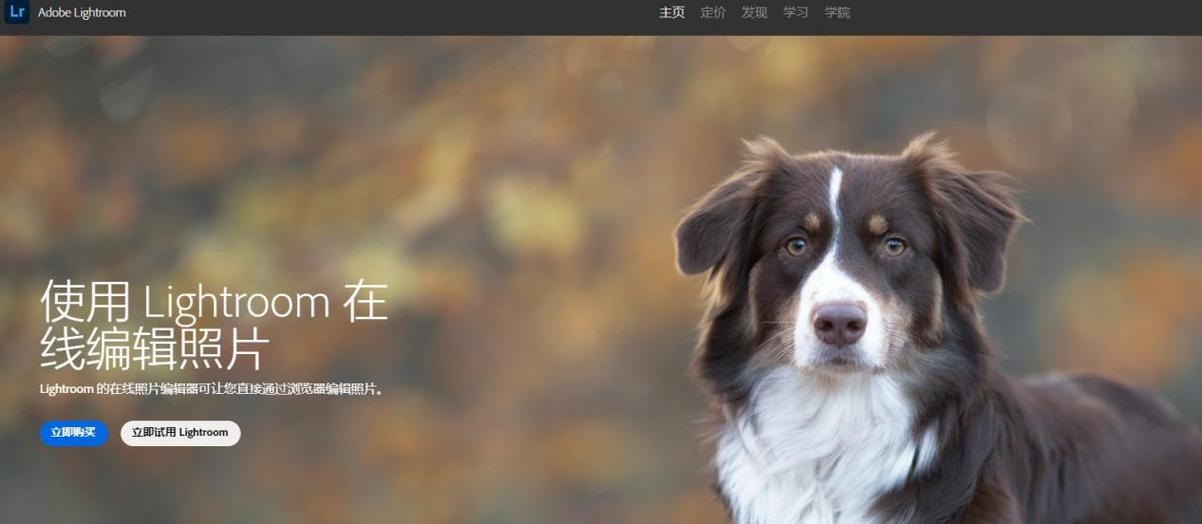 手机图片黑白反转app截图