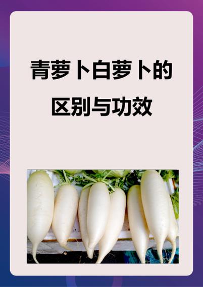 青萝卜的功效与作用图标