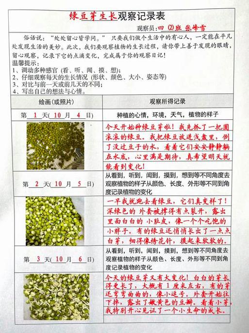 绿豆观察记阅读理解缩略图