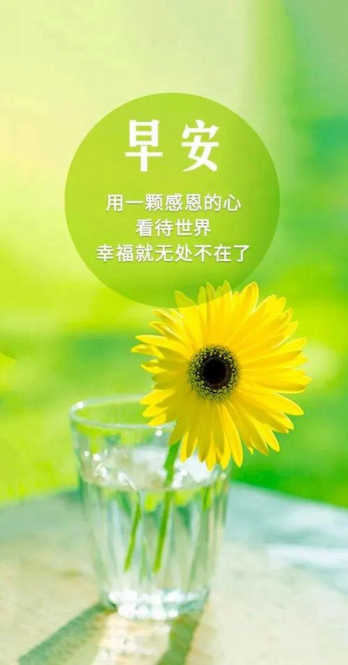 早晨励志短句正能量缩略图