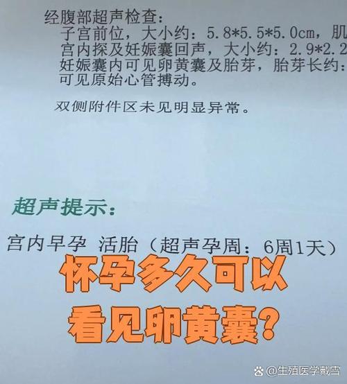 怀孕多久可见卵黄囊图标