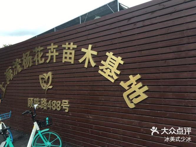 上海苗圃基地花卉批发地址