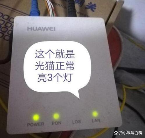猫上的灯怎样亮才算正常图标