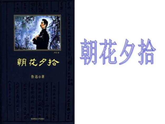 鲁迅朝花夕拾的主要内容图标