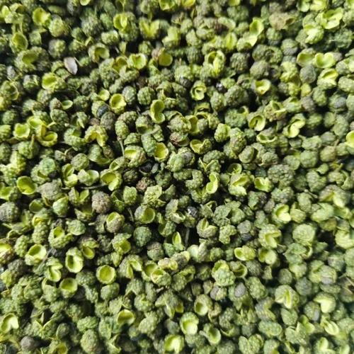 青花椒的功效与作用及食用方法