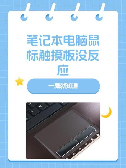 戴尔电脑鼠标没反应的解决方法
