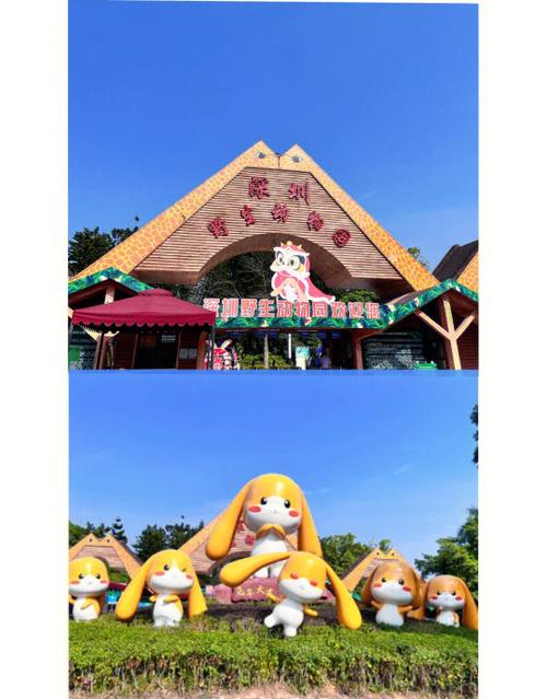 深圳野生动物园游玩攻略图标