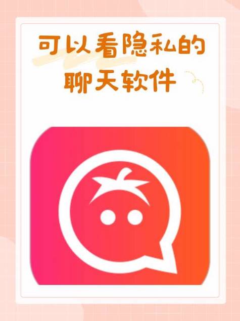 菲律宾纸飞机中文版聊天软件缩略图